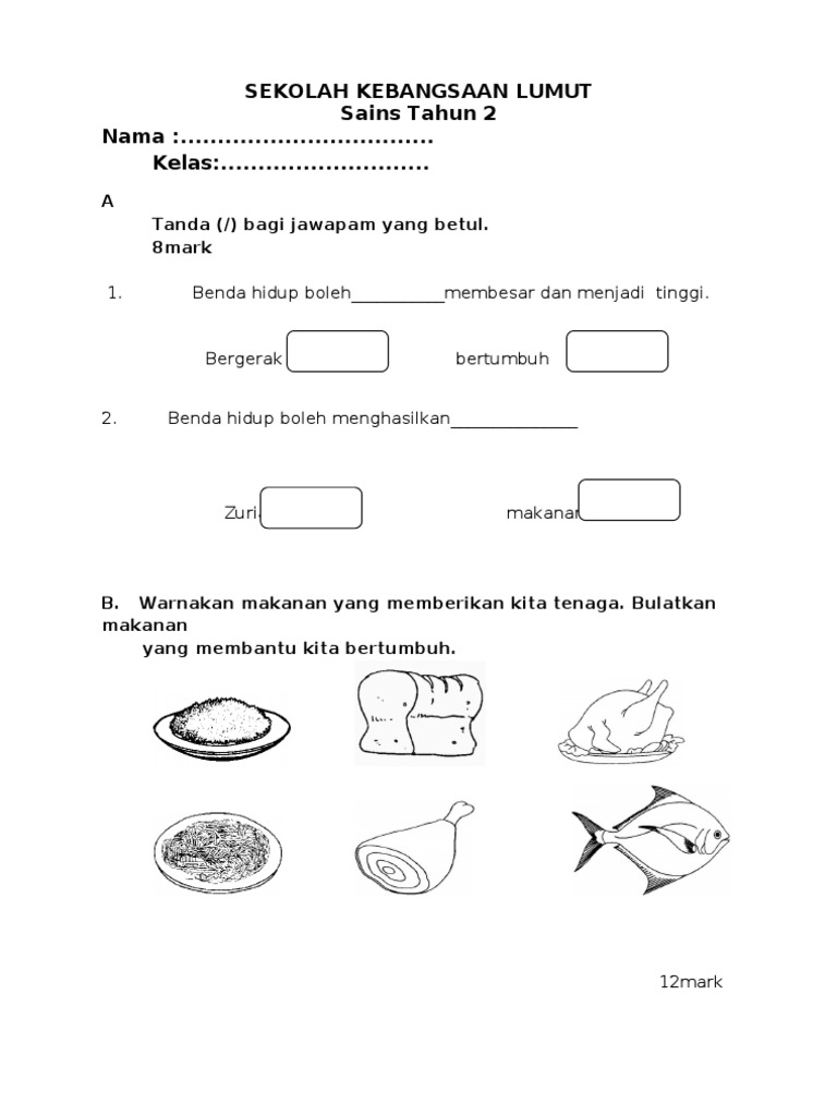 Soalan Dan Jawapan Bahasa Inggeris Tahun 4 - New Sample v