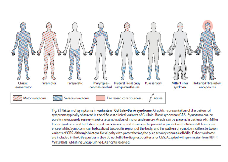GBS Types | PDF