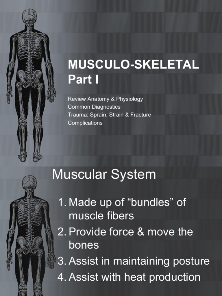 MUSCULO-SKELETAL - Nursing | PDF | Muscle Contraction | Anatomical ...