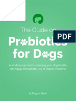 The Guide On Probiotics For Dogs