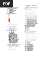 Quiz Circulatory System