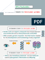 Introduction To Nucleic Acids