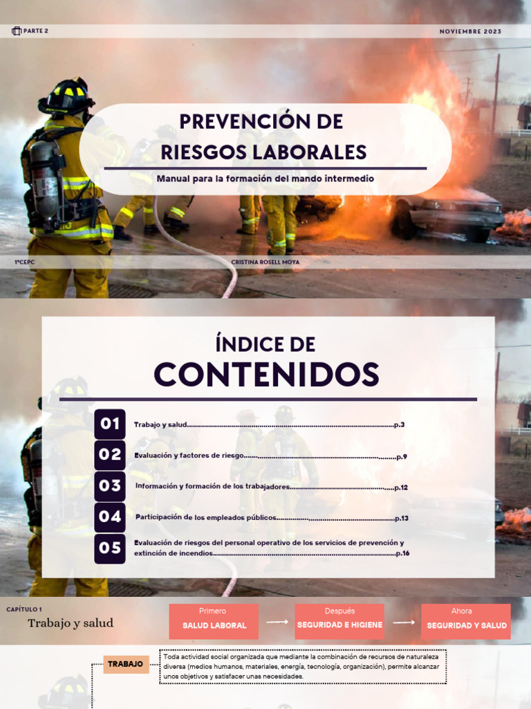 Manual de Prevención de Riesgos Laborales | PDF | Seguridad y salud ...