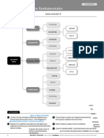 U4 - Activity Sheets