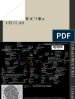 Histologia