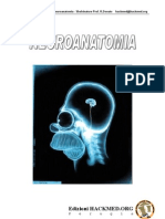 Neurologia Neuroanatomia