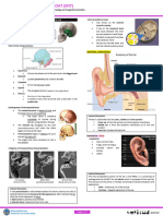 ENT - Anatomy, Physiology, Embryology and Congenital Anomalies