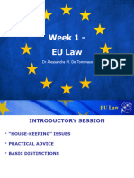 Week 1 EU Law Introduction
