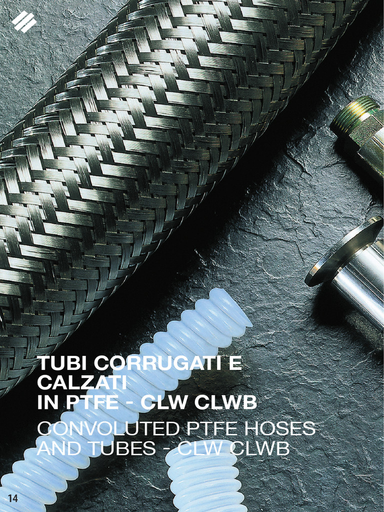 CLWB | PDF