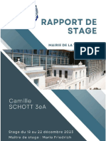 Rapport de Stage Camille Schott