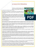 FICHA 24 DE NOVIEMBRE El Gran Tesoro de La Naturaleza Ficha