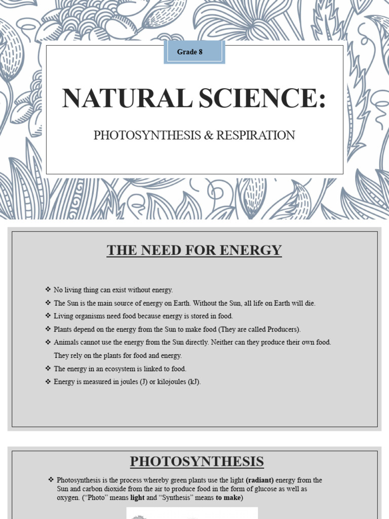Photosynthesis and Respiration Overview | PDF | Photosynthesis ...