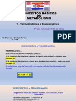 Aula 2 - ConceitosBaÌ Sicos - BioenergeÌ Tica - TermodinaÌ Mica - CMRL - 2023