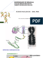 Aula Ácidos Nucléicos