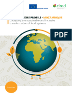 Food Systems Profile - Mozambique