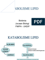 Katabolisme Lipid