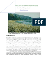 Download Ecology of Wetlands  its Management Strategies by api-3803371 SN7076334 doc pdf