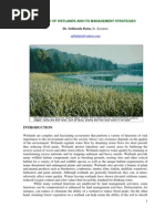 Download Ecology of Wetlands  its Management Strategies by api-3803371 SN7076334 doc pdf