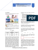 Guia 01 Fisica La Fuerza Sexto 2024