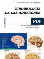 2 - PPT Neurobiología Adicciones