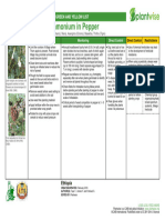 Taye Et Al 2016 Control of Datura Stramonium in Pepper Ethiopia