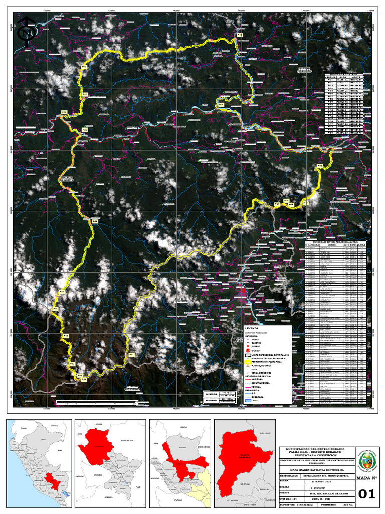 Base Palma Real Imagen Sentinel Pdf