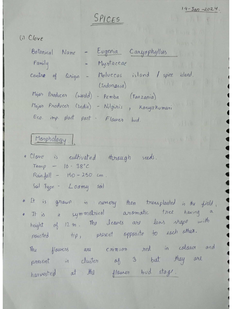 Spices (2Sem) Economic Botany PDF