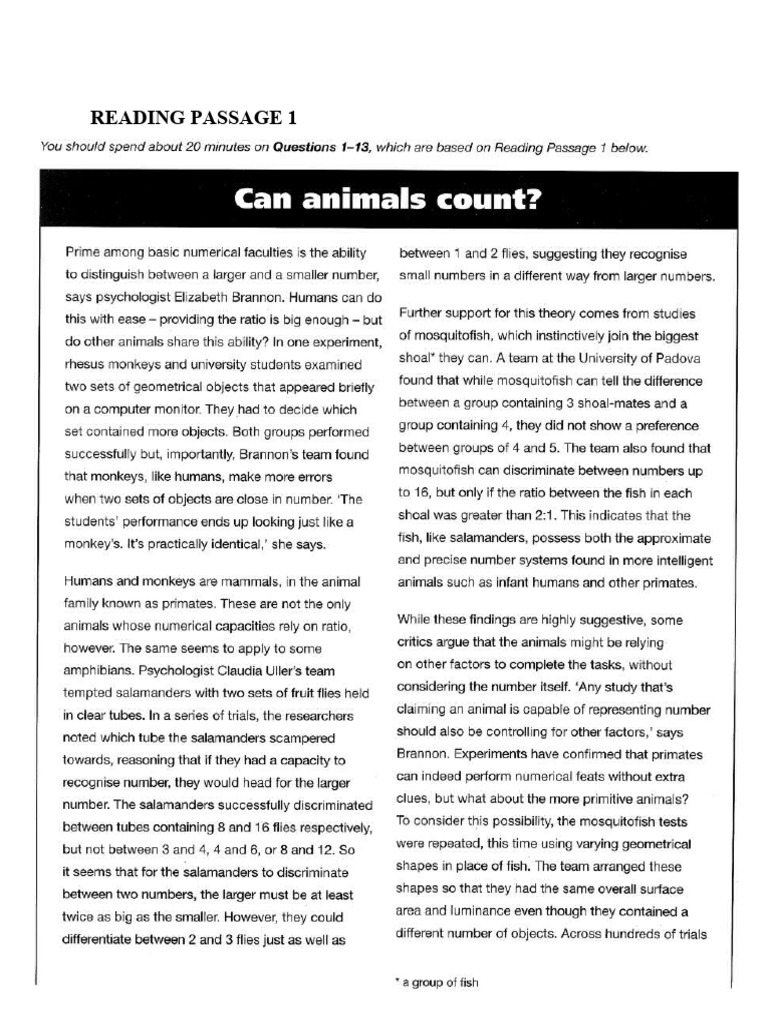 can-animals-count-pdf