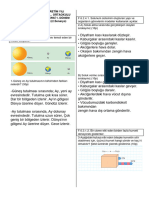 6 Snffenbilimleri1 Dnem2 Yazlsoru-Cevap2akulu