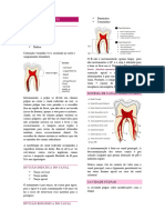 Anatomia Dentária