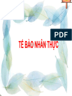 Bai 8 K10 Tế Bào Nhân Thực