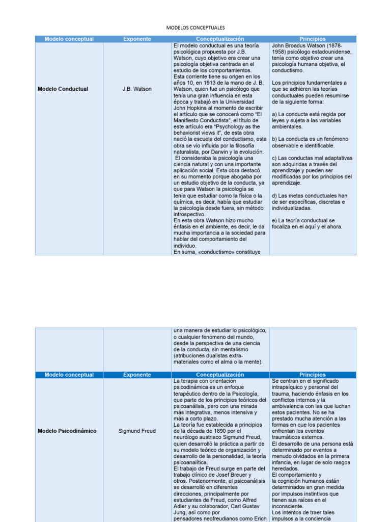 Modelos Conceptuales | PDF | Psicoanálisis | Aprendizaje