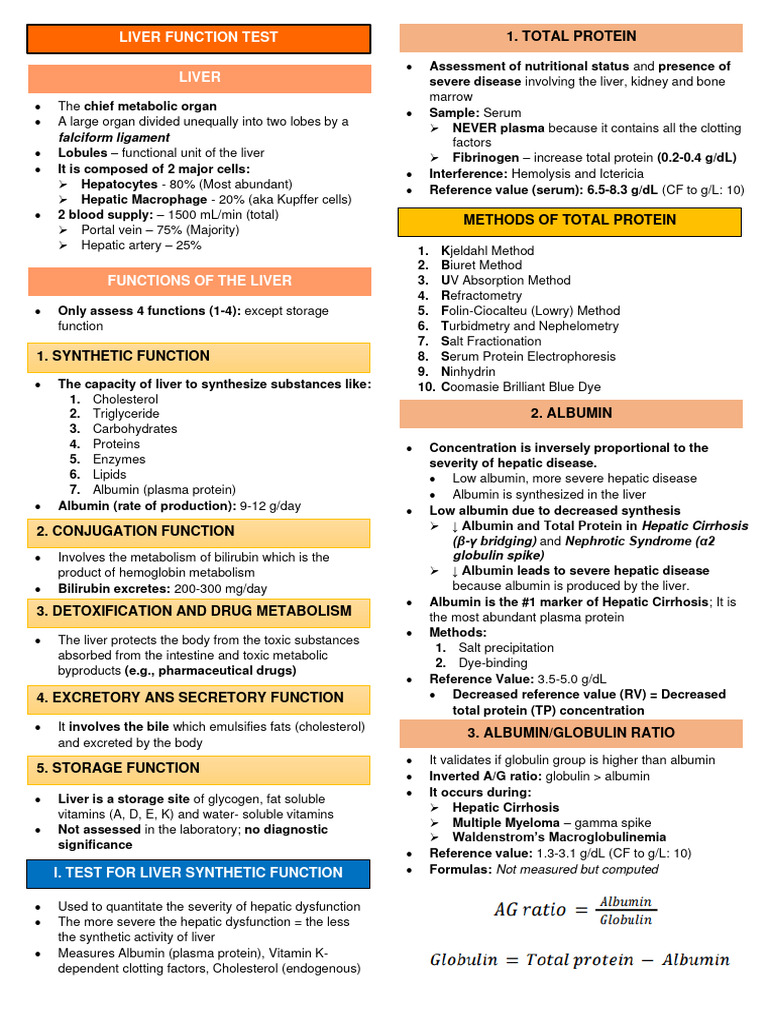 Liver Function and Metabolism | PDF | Liver | Medical Specialties