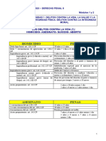 Esquema Penas D.contra La Vida