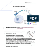 Clase 9. Ácidos Nucleicos