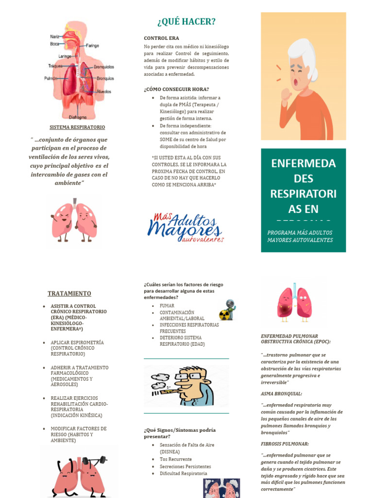 Enfermedades Respiratorias Triptico | Descargar gratis PDF | Enfermedad
