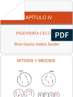 4.1 Mitosis y Meiosis 5to