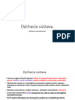 Dýchacia Sústava PDF