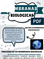 Membranas Biológicos
