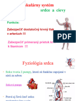 Kardiovaskularny System