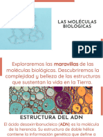 Wepik Explorando Las Maravillas de Las Moleculas Biologicas Un Viaje Al Corazon de La Vida 20240202010930KR8g