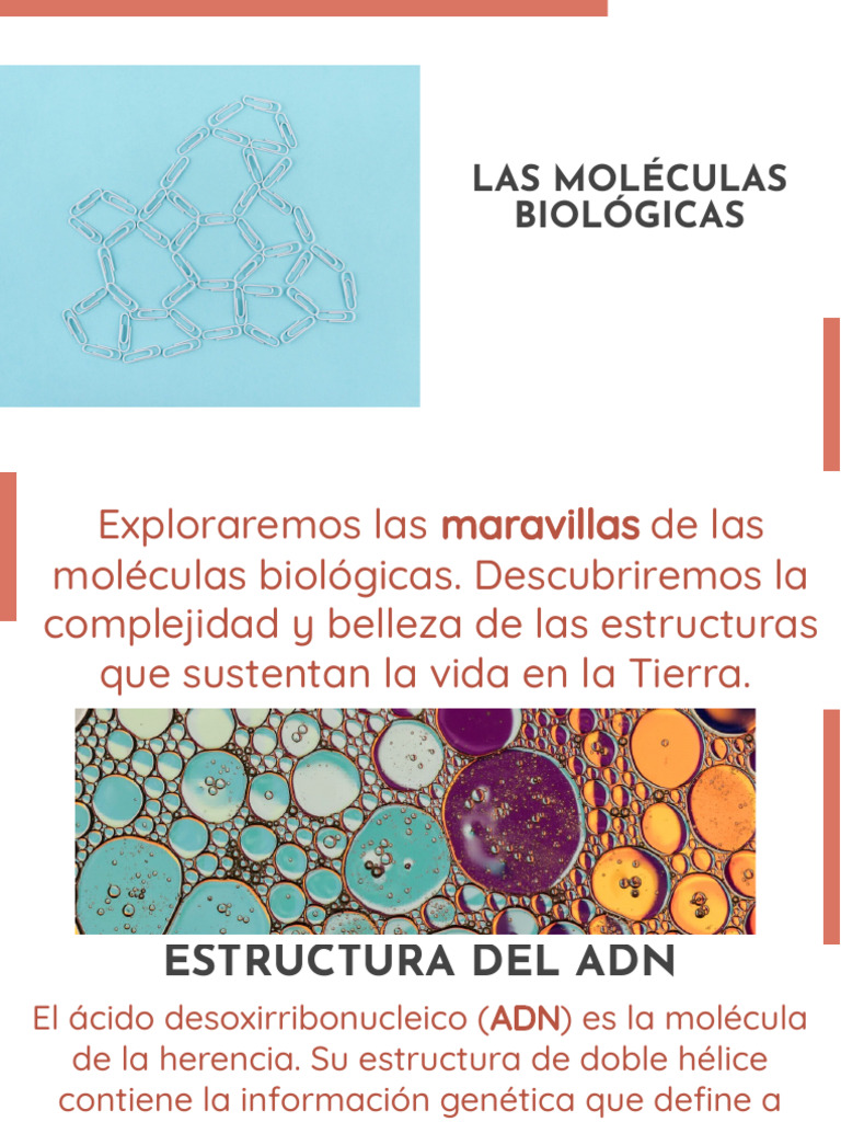 Wepik Explorando Las Maravillas De Las Moleculas Biologicas Un Viaje Al