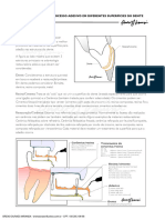 Protocolos Adesivos - Dente