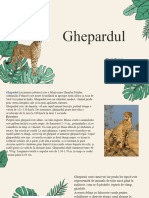 Ghepardul - by Slidesgo