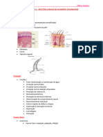 RM - Aula 2 - Afecções Clinicas Tegumento 07.03