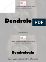 Dendrologia 121106230730 Phpapp01