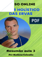 Aula 3 - Curso Poder Holístico Das Ervas