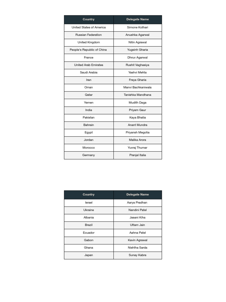 MUN Country Delegate Matrix | PDF