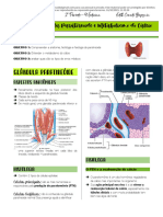 APG 15 - Paratireoide, Metabolismo Do Cálcio e Erros Médicos