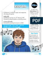Ed Sheeran - ESL Music Task